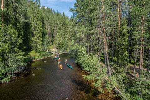 Muutama meloja vetää kajakkeja matalan veden kohdassa.