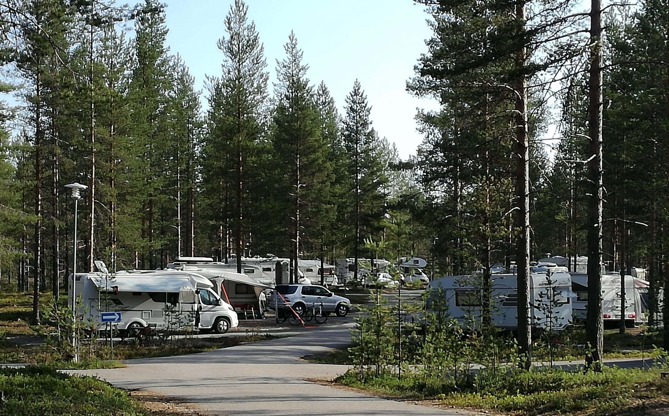Asuntoautoja ja -vaunuja Karhunkainalon leirintäalueella mäntykankaalla.