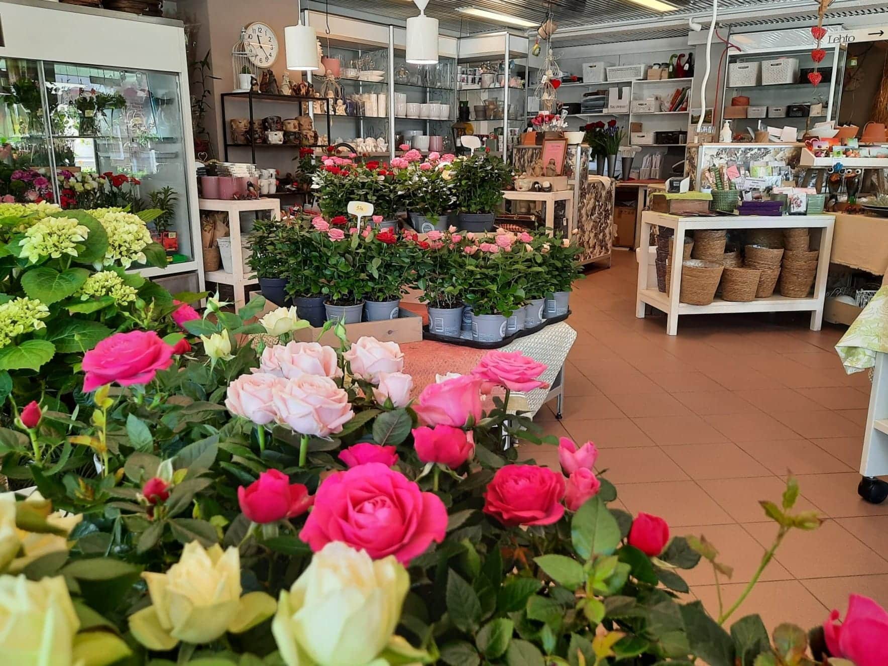 Kukkakauppa KukkaIris kuvattuna sisältä, kuvassa erivärisiä kukkia ja kasveja.