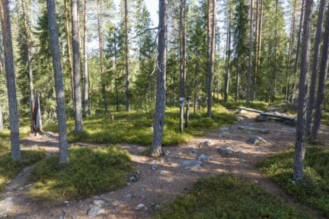 Raatteen polut