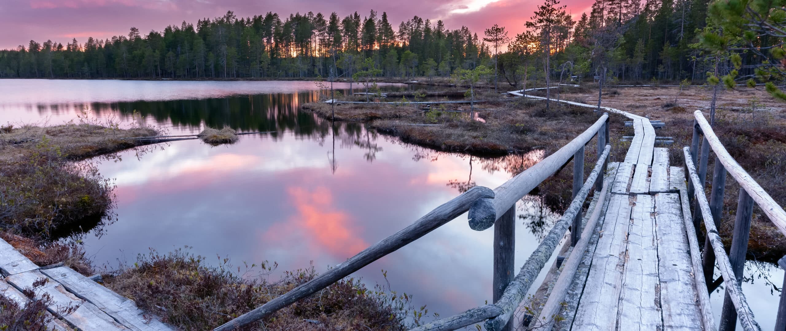 Pitkospuut Seitenahvenisen lammen ympärillä auringonlaskun aikaan, jolloin violetiksi värjäytynyt taivas.