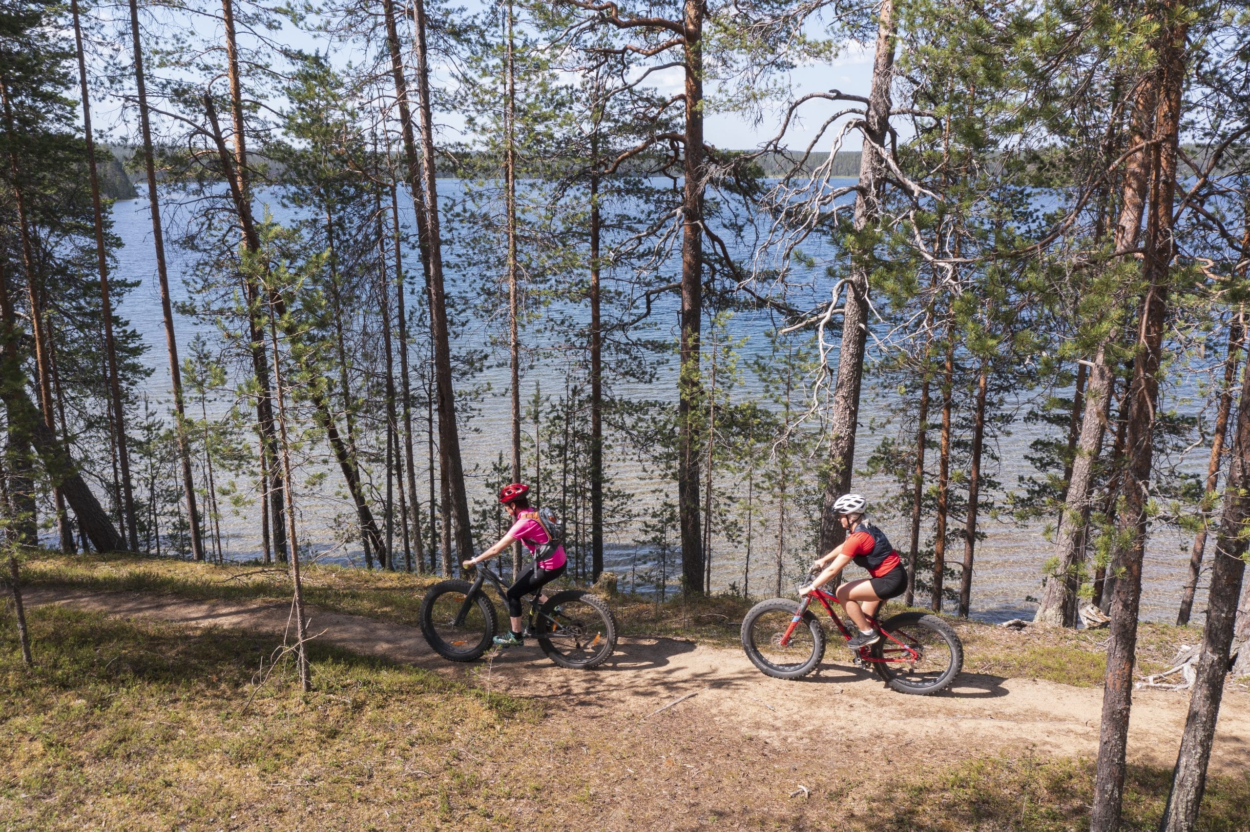 Kaksi maastopyöräilijää Iso-Valkeisen rannassa hiekkaharjun päällä kulkevalla maastopyöräreitillä.