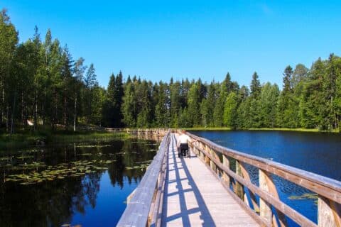 Patokoski Trail Ämmänsaari