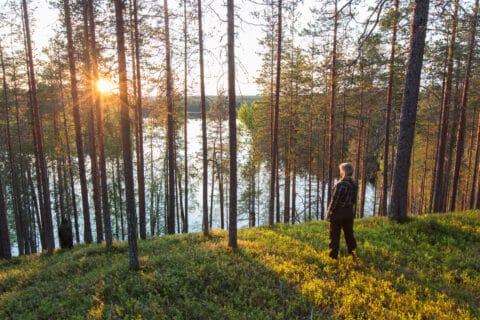 Retkeilijä Hossan kansallispuiston harjumaisemissa.