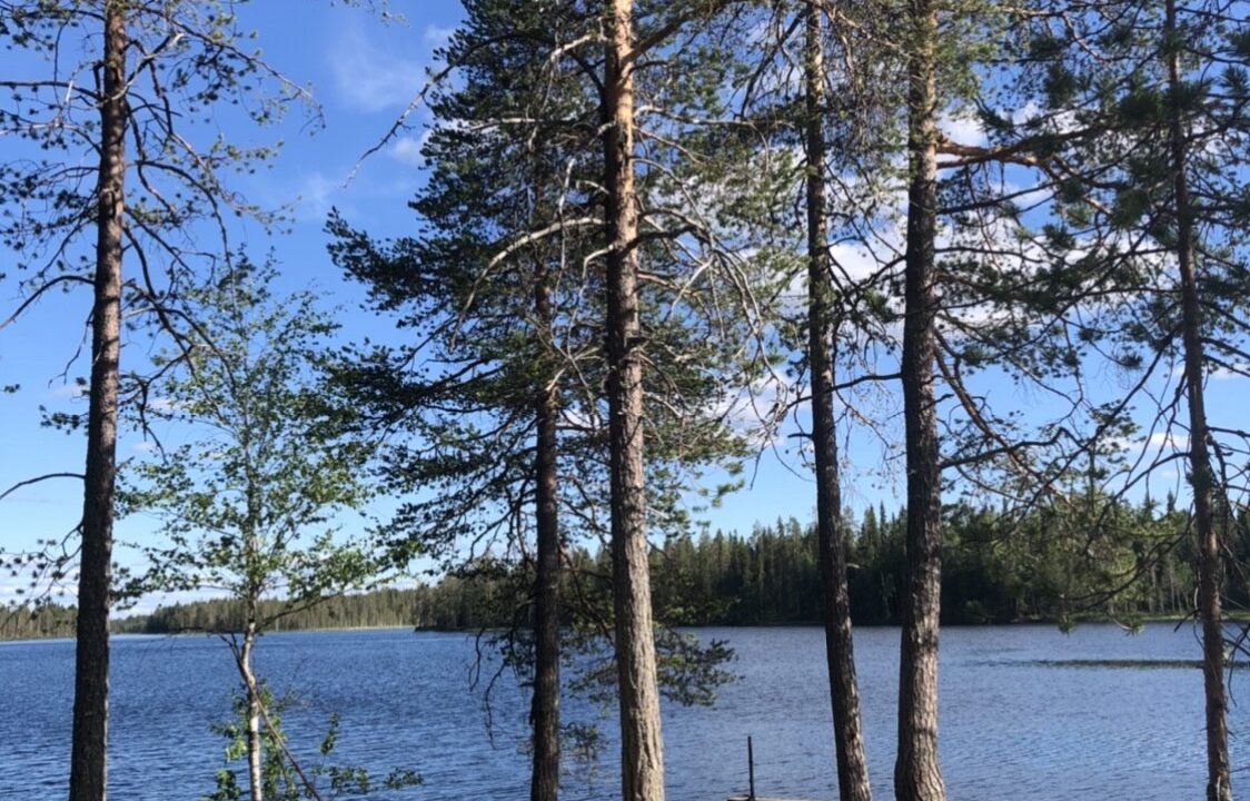 Istumapuut ympäröivät nuotiopaikkaa ja taustalla järvi.