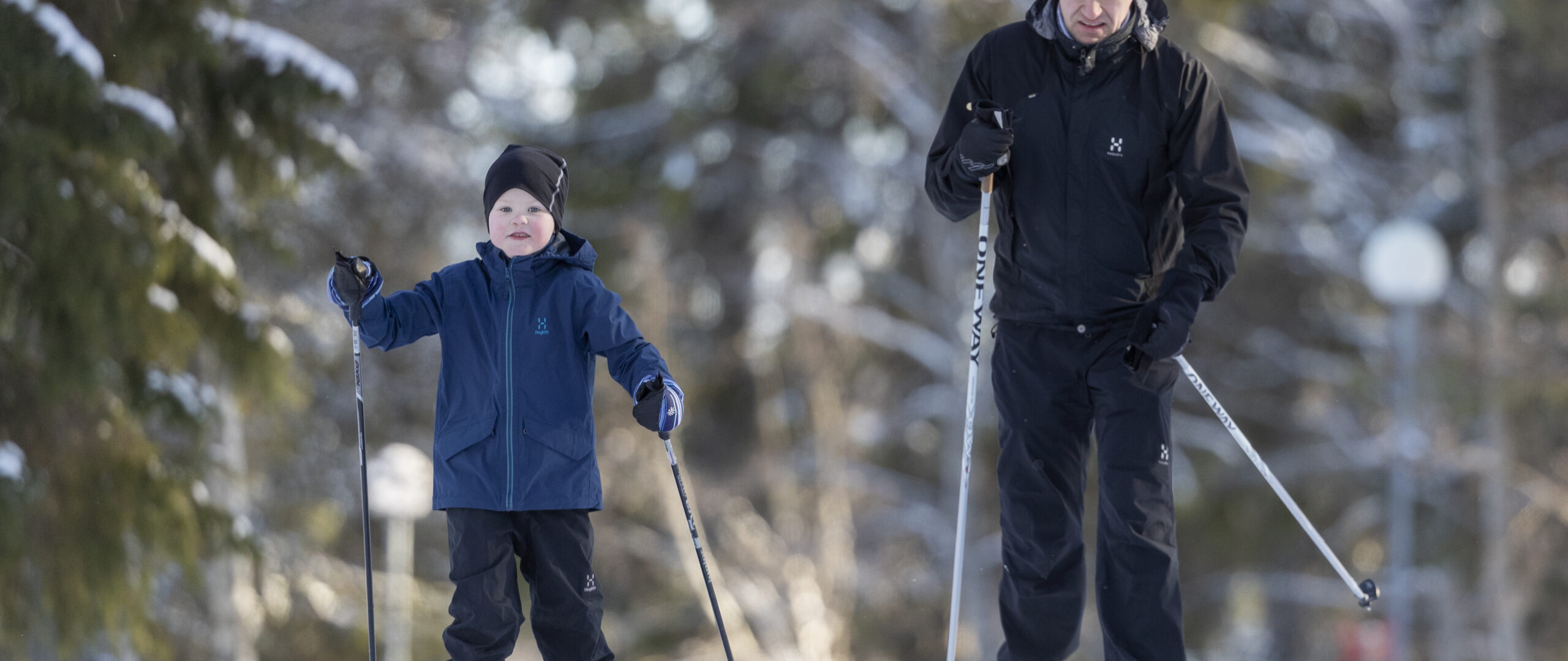Mies ja poika hiihtää perinteisen tyylillä havumetsässä.
