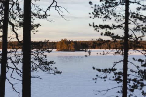 Saarikylän luontopolku