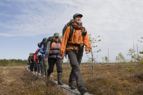 Säynäjäsuo–Matalasuo