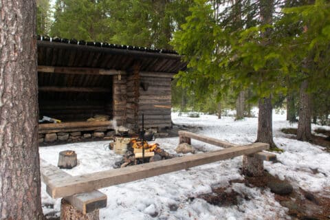 Tulipaikat