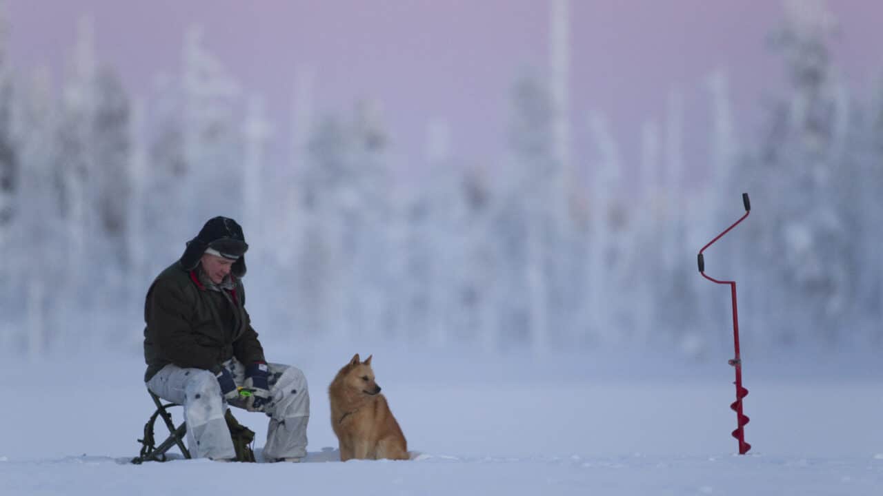Mies ja koira istuvat pilkillä taustanaan luminen maisema.