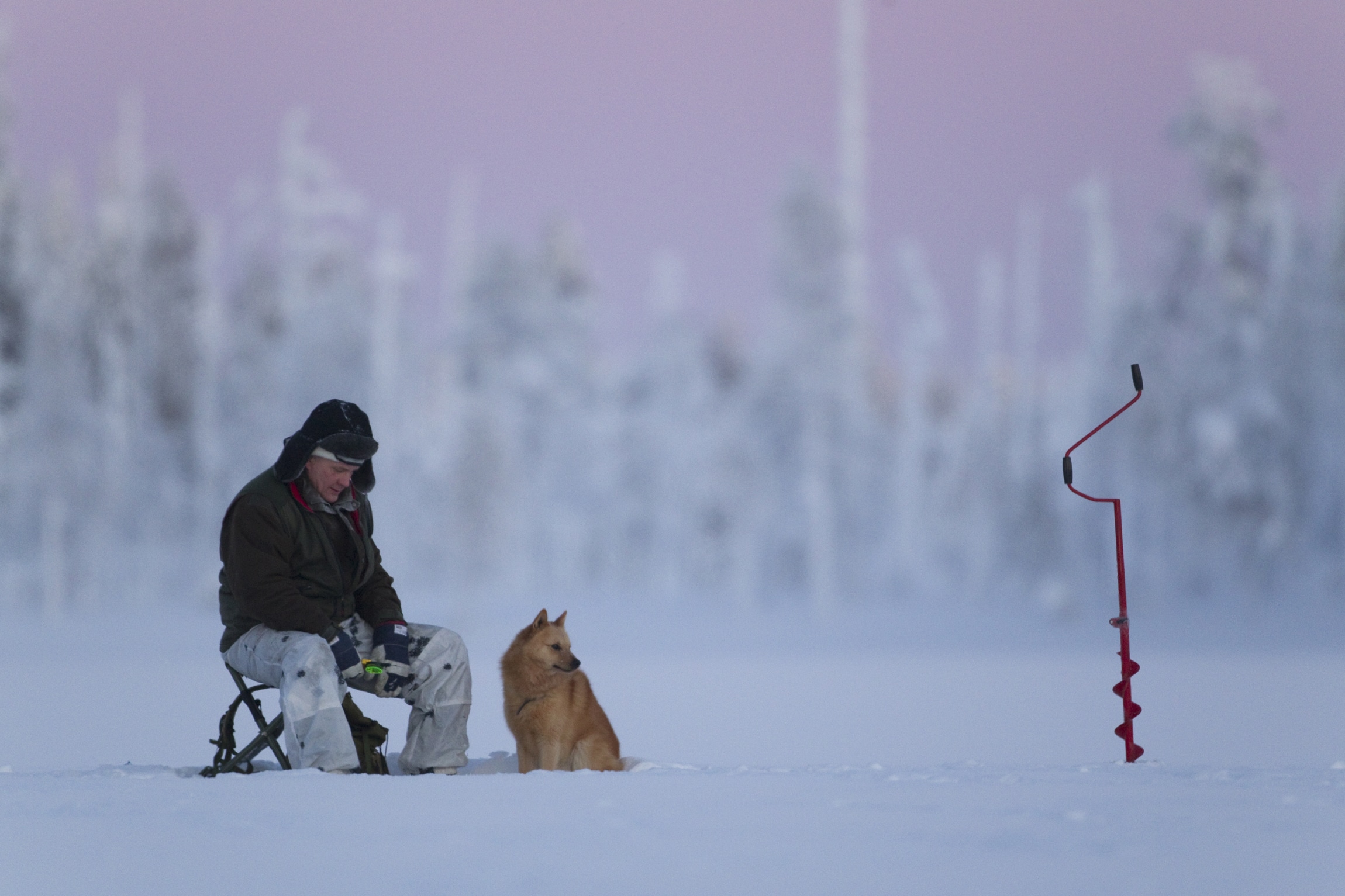 Mies ja koira istuvat pilkillä taustanaan luminen maisema.