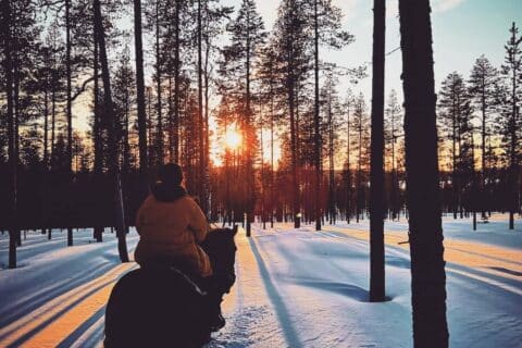 Ratsastaja lumisessa metsässä auringon paistaessa puiden välistä.