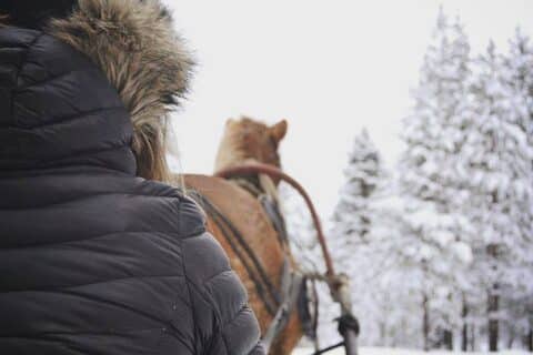 Hevosrekiajelulla lumisessa maisemassa kyydistä kuvattuna.