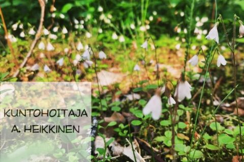 Kuntohoitaja Auli Heikkisen mainoskuva, jossa valkoisia kukkia.