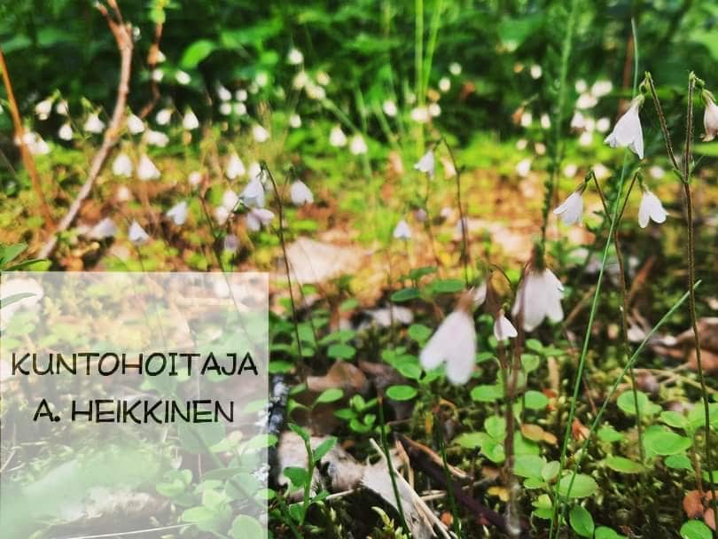 Kuntohoitaja Auli Heikkisen mainoskuva, jossa valkoisia kukkia.