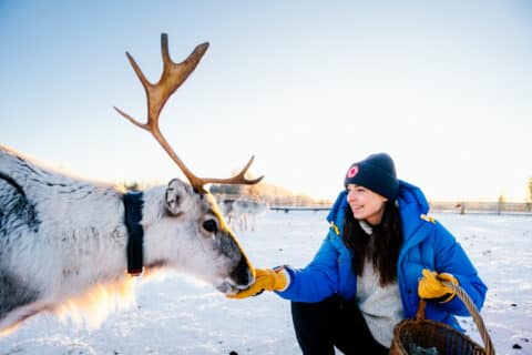 Reindeer Farm Visiting