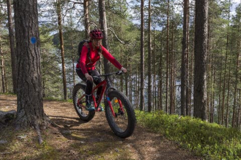 Hossan Lumo’s fatbikes