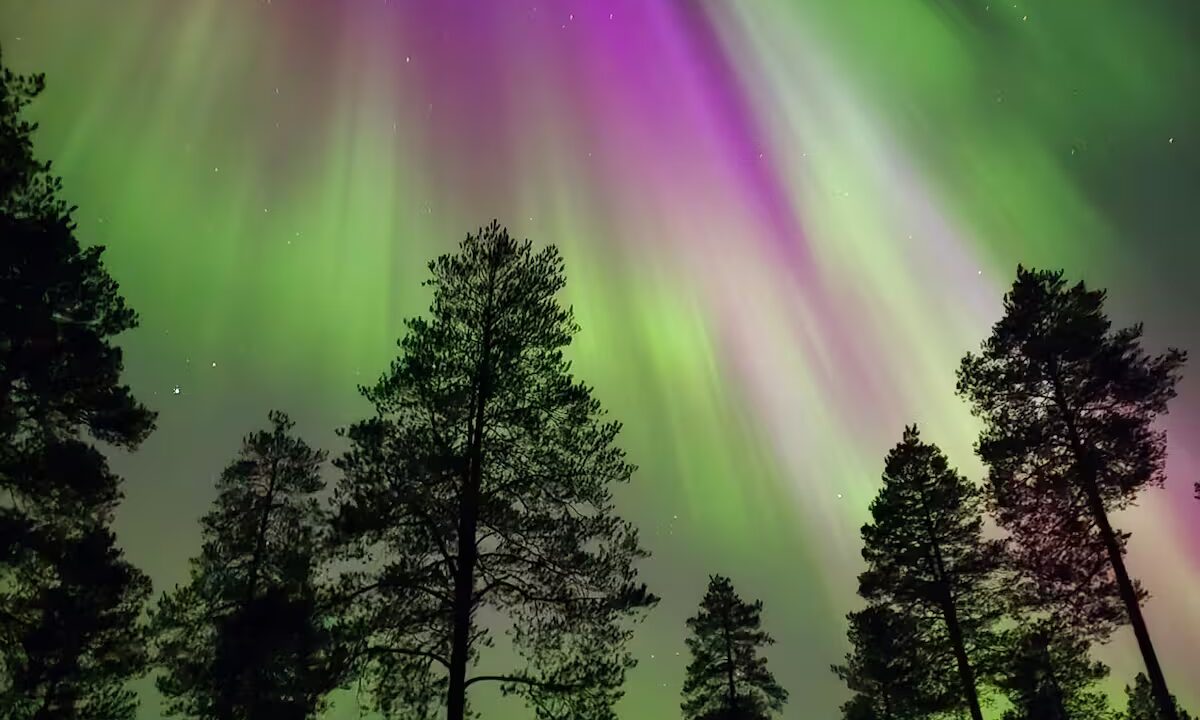 Puna-vihreät revontulet taivaalla.