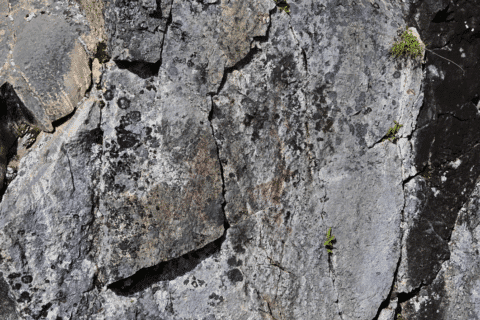 Julma-Ölkyn kalliomaalaukset