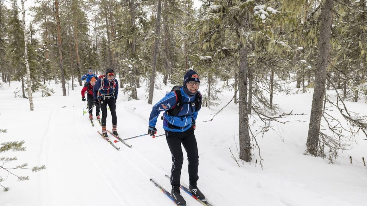 Neljä hiihtäjää metsässä.