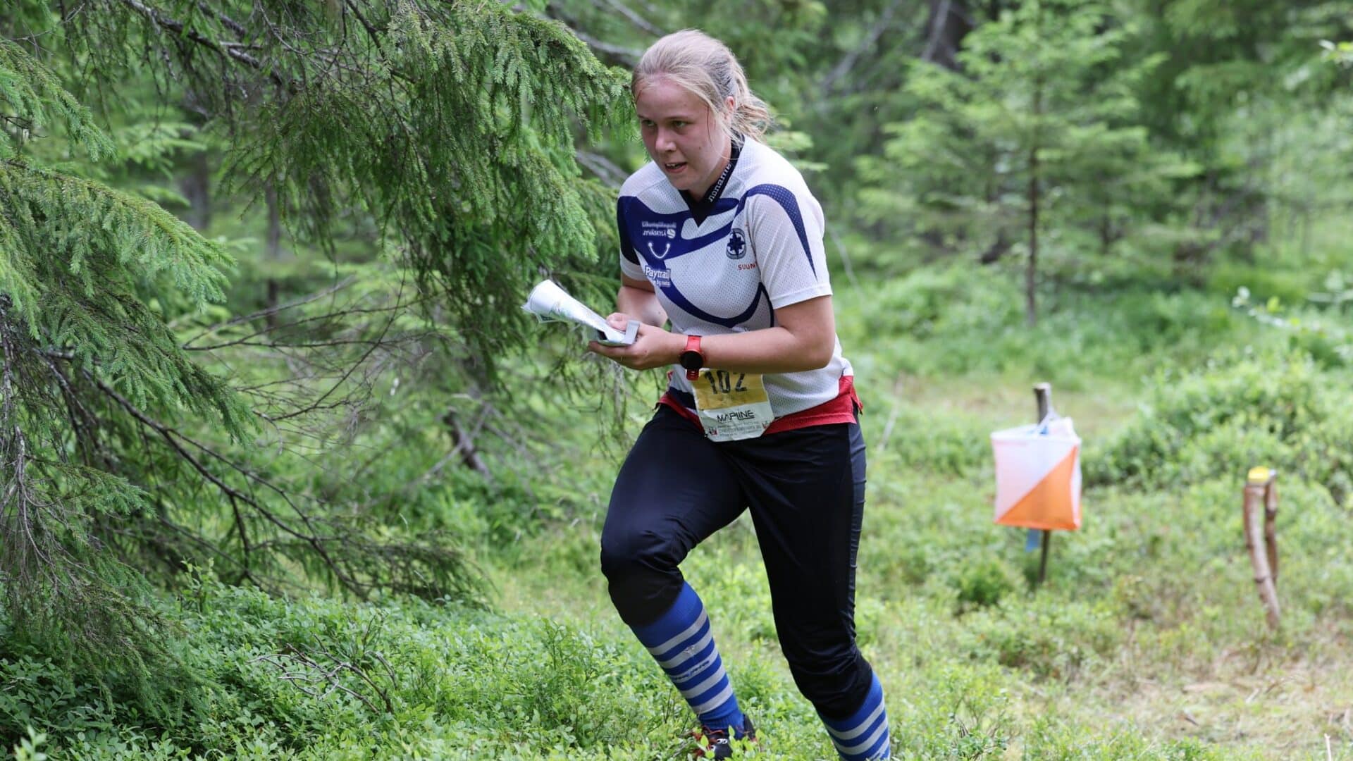 Suunnistaja metsässä.