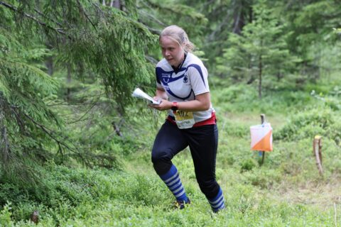 Suunnistaja metsässä.