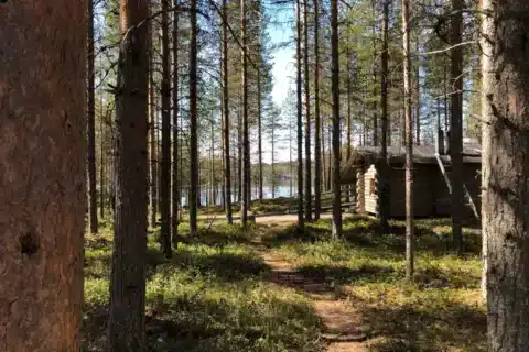 Erikoismajoitus