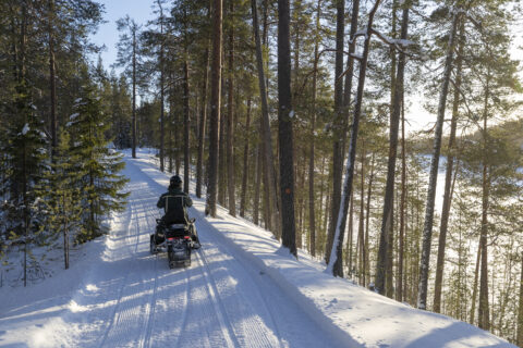Moottorikelkkailu