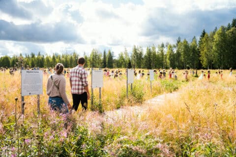 Kulttuuri
