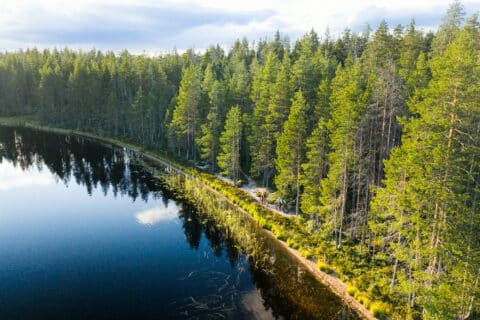 Lumettomaan aikaan