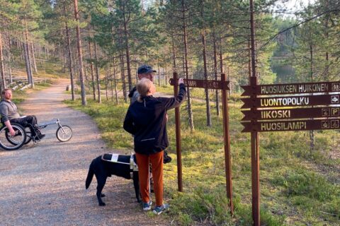 Esteettömyys